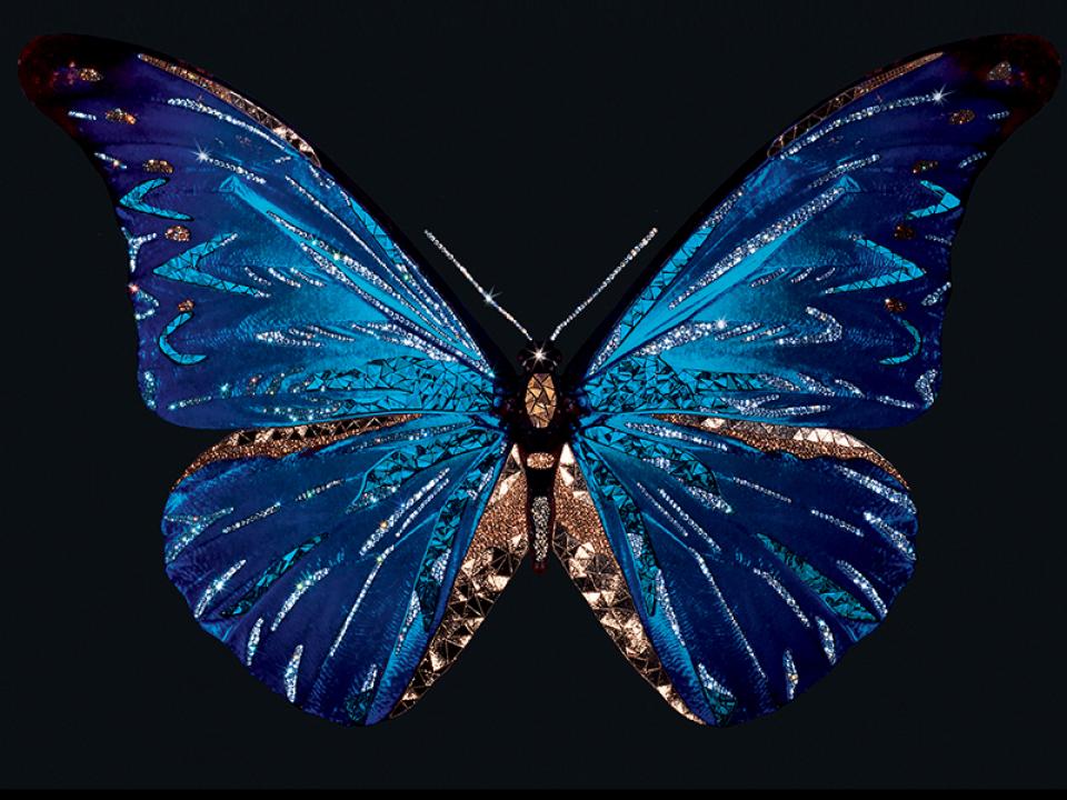 1587299374122588.jpg michele_astolfi.jpg